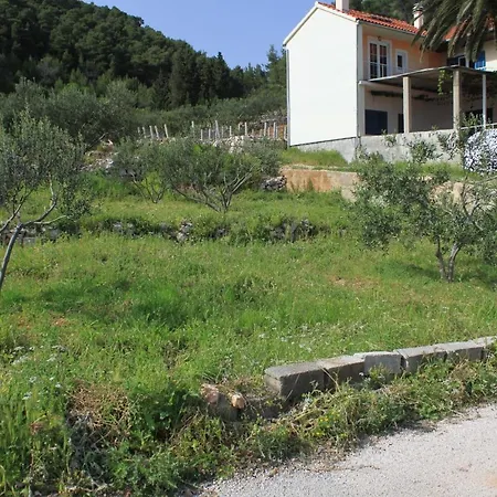 Seaside Secluded Cove Tvrdni Dolac, Hvar - 8703